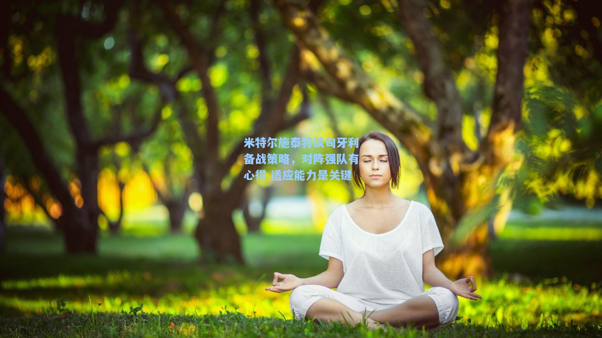 米特尔施泰特谈匈牙利备战策略，对阵强队有心得 适应能力是关键
