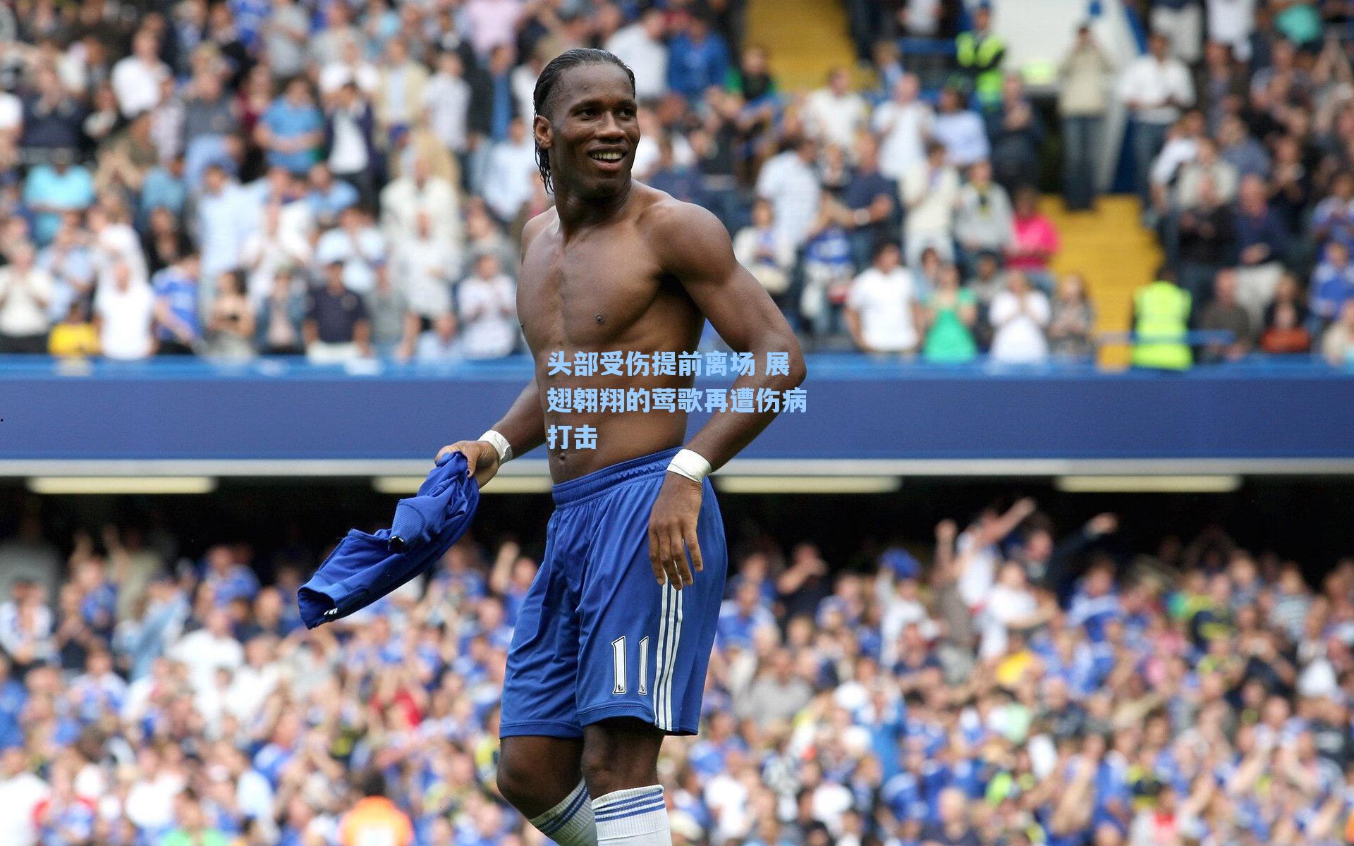 头部受伤提前离场 展翅翱翔的莺歌再遭伤病打击