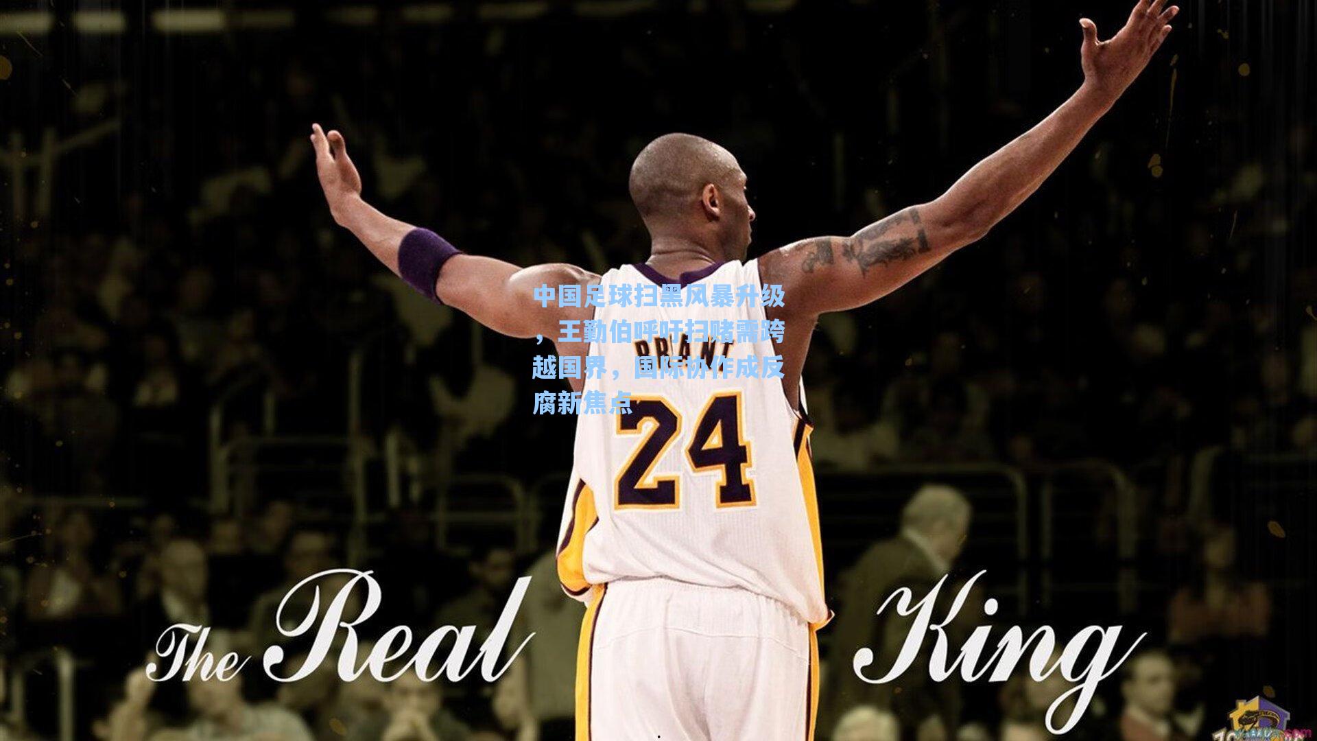 中国足球扫黑风暴升级，王勤伯呼吁扫赌需跨越国界，国际协作成反腐新焦点